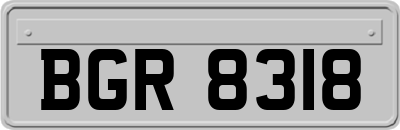 BGR8318