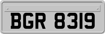 BGR8319
