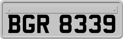 BGR8339