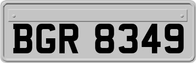 BGR8349