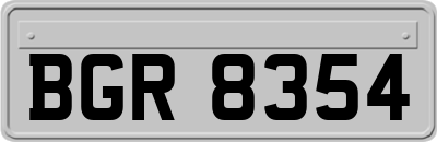 BGR8354