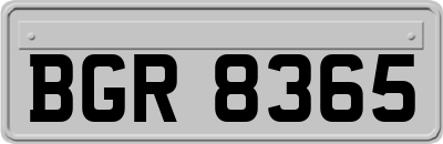 BGR8365