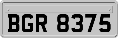 BGR8375