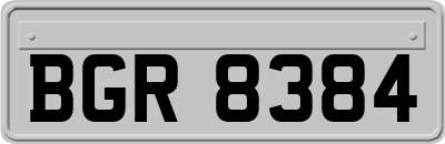 BGR8384