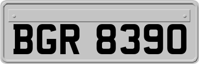 BGR8390
