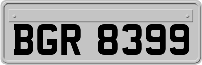 BGR8399