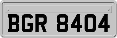 BGR8404