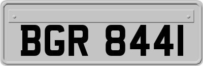 BGR8441