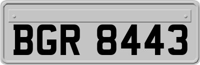 BGR8443