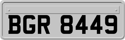 BGR8449