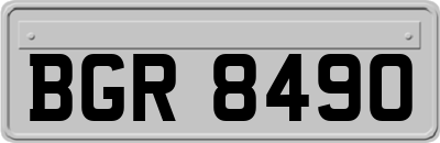 BGR8490