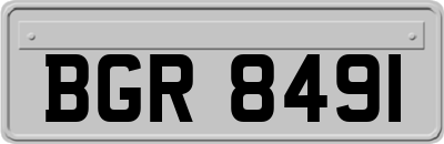 BGR8491