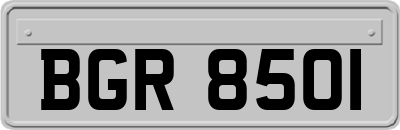 BGR8501