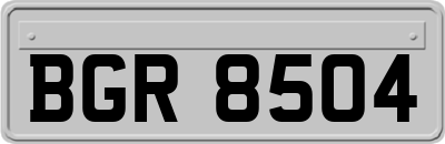 BGR8504
