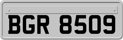 BGR8509