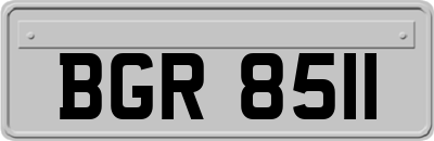 BGR8511