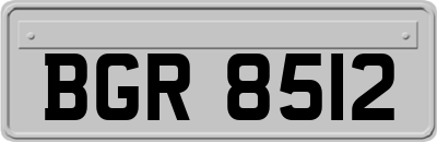 BGR8512
