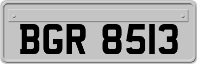 BGR8513