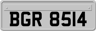BGR8514