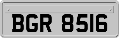 BGR8516