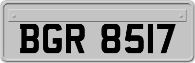BGR8517