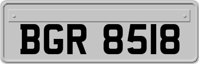 BGR8518