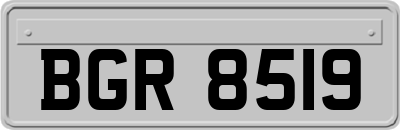 BGR8519