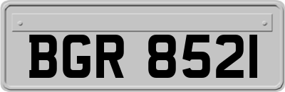 BGR8521