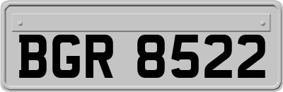 BGR8522