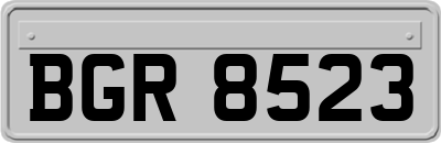 BGR8523