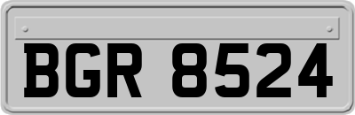BGR8524