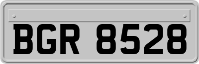 BGR8528