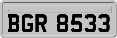 BGR8533