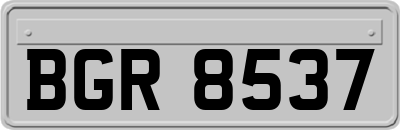 BGR8537