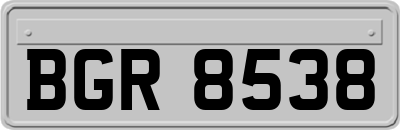 BGR8538