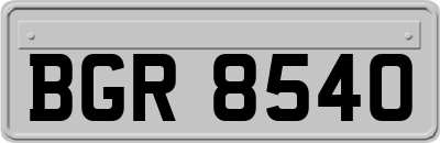 BGR8540