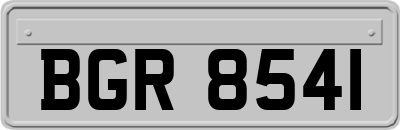 BGR8541