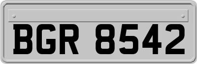 BGR8542