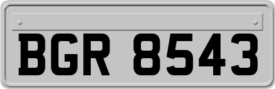 BGR8543