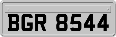 BGR8544