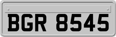 BGR8545