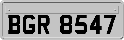 BGR8547