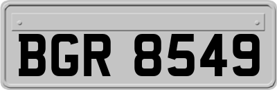 BGR8549