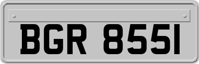 BGR8551
