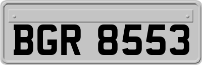 BGR8553