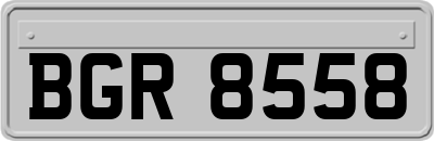 BGR8558