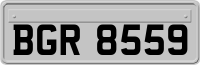 BGR8559