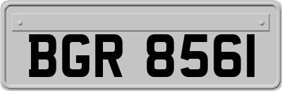BGR8561