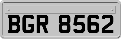 BGR8562