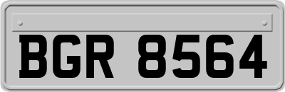 BGR8564